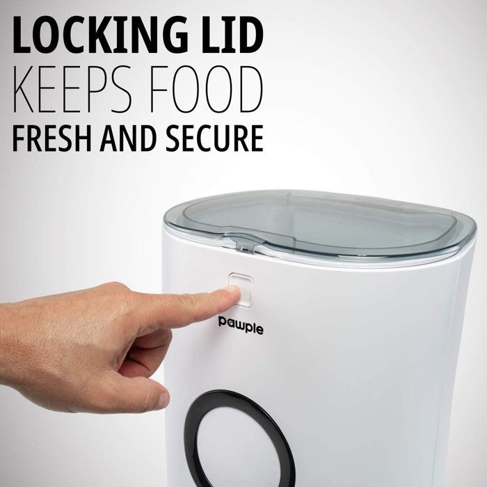 Pawple Pets Pet Automatic Feeder & Reviews Wayfair